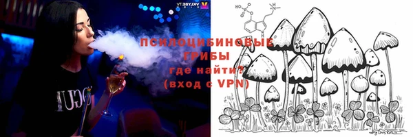 винт Алексин