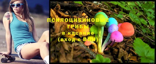 СК Алексеевка