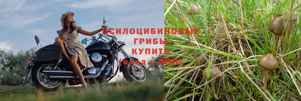 MDMA Киреевск