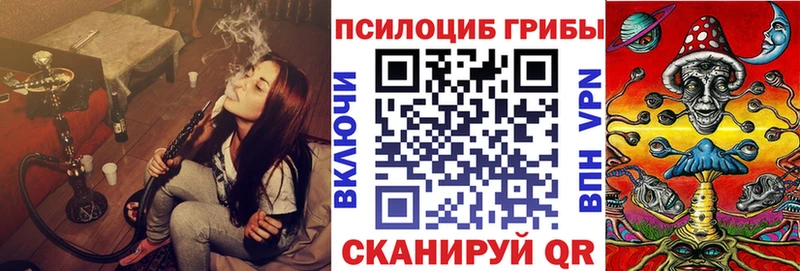 где найти Невьянск мега ТОР мориарти Telegram Псилоцибиновые грибы ЛСД